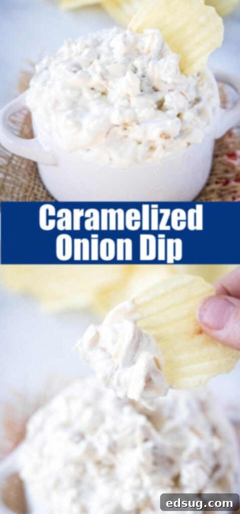 Decadent Caramelized Onion Dip 7 A close-up of a bowl of homemade caramelized onion dip, ready for sharing on Pinterest.