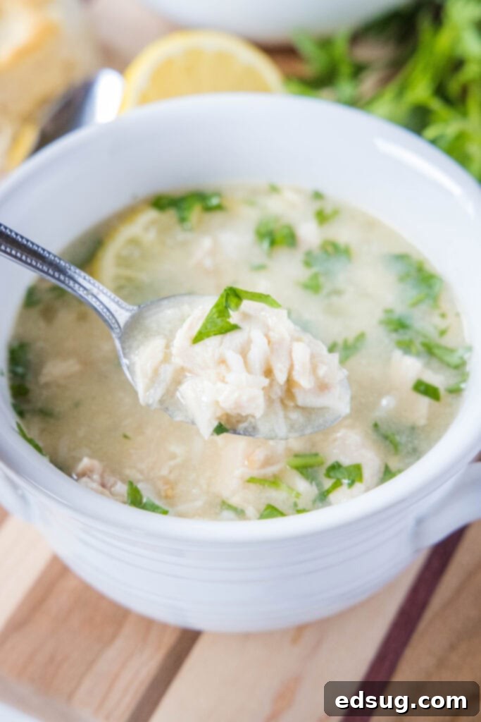 a spoonful of lemon chicken and rice soup
