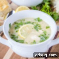 cropped picture of chicken and rice soup