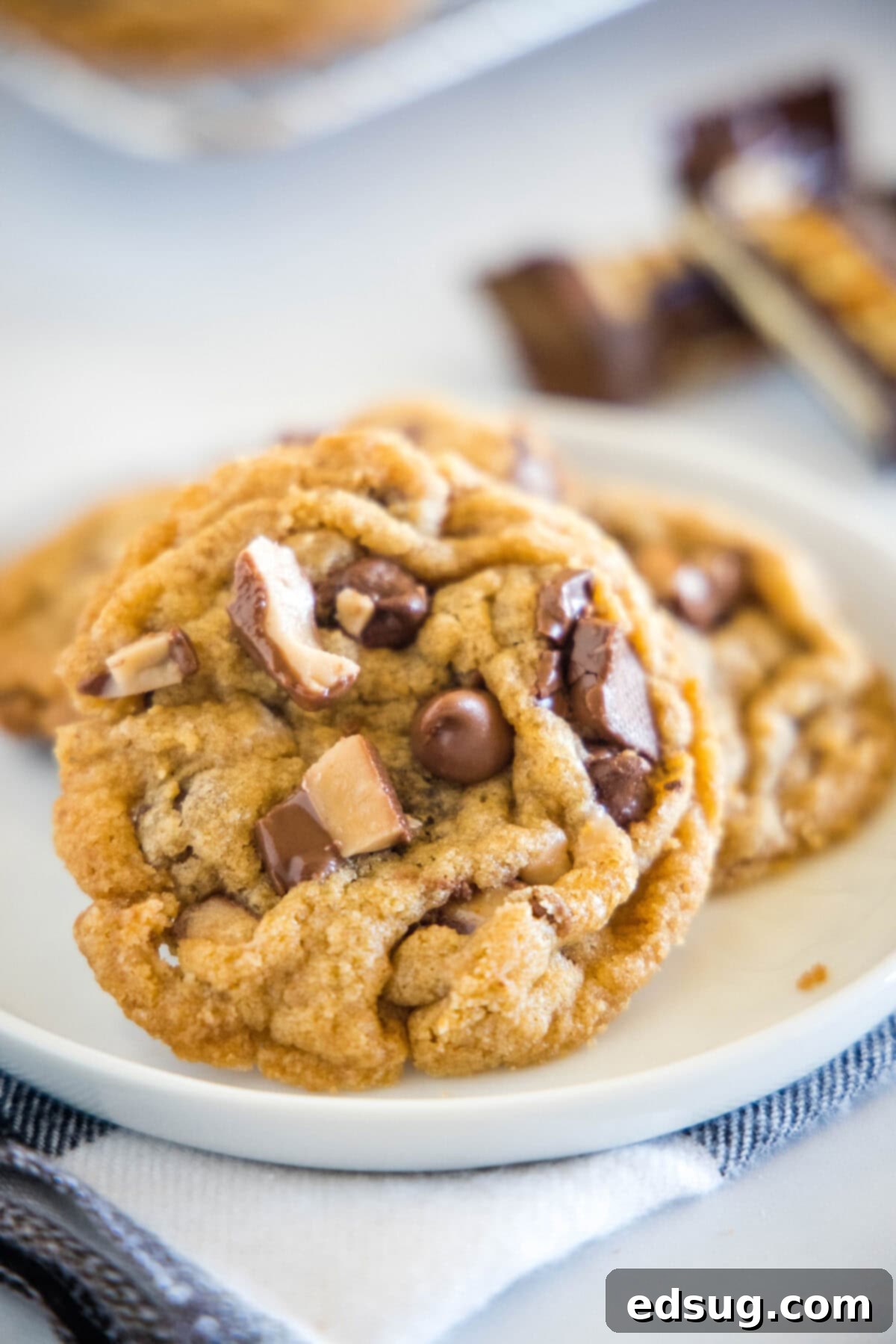 toffee graham cracker cookies on a white plate, showcasing their soft texture and generous toppings