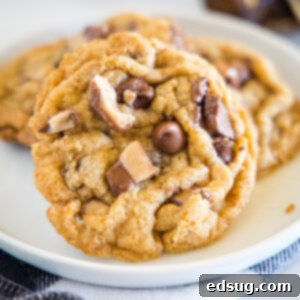 close up toffee graham cracker cookies