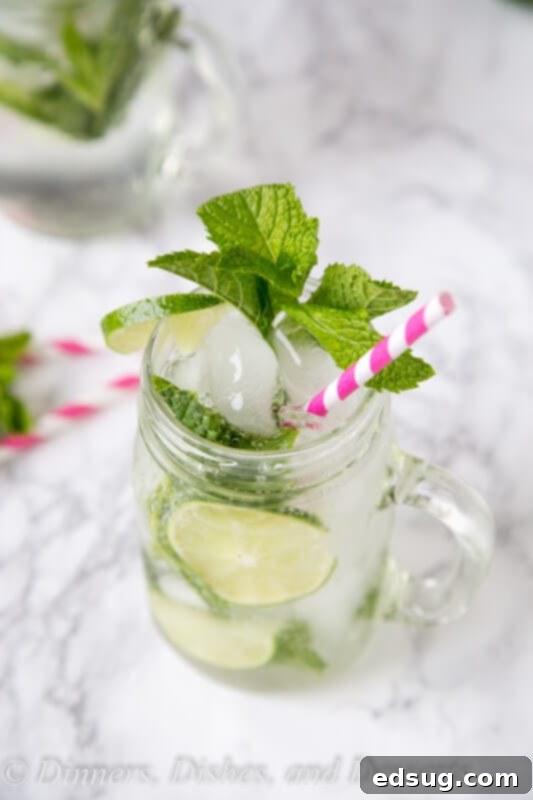 Featherlight Mojito 2 Skinny Mojitos - enjoy all the flavors of a classic mint mojito, in an easy and just a little bit healthier version.