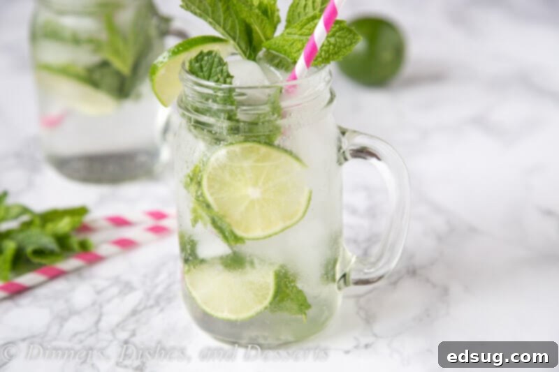 Featherlight Mojito 3 Skinny Mojitos - enjoy all the flavors of a classic mint mojito, with a little less guilt.