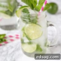 Featherlight Mojito 6 light mojito in a cup