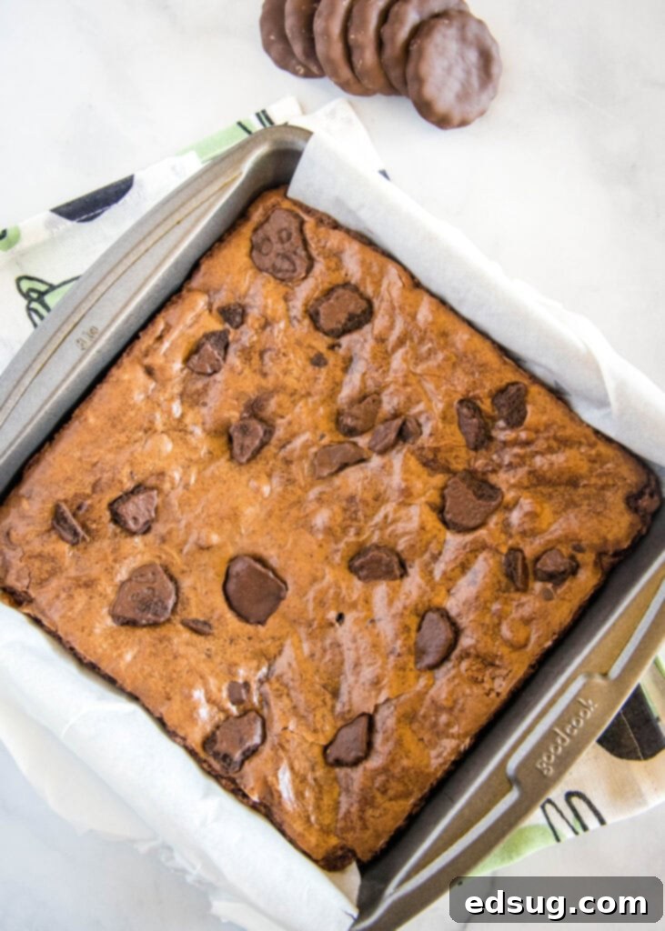 Decadent Thin Mint Brownies 3 Thin Mint Brownies baking in a square pan, showing their rich chocolate color