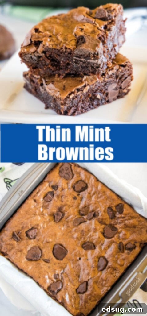 Decadent Thin Mint Brownies 5 Close-up of Thin Mint Brownies, perfect for Pinterest