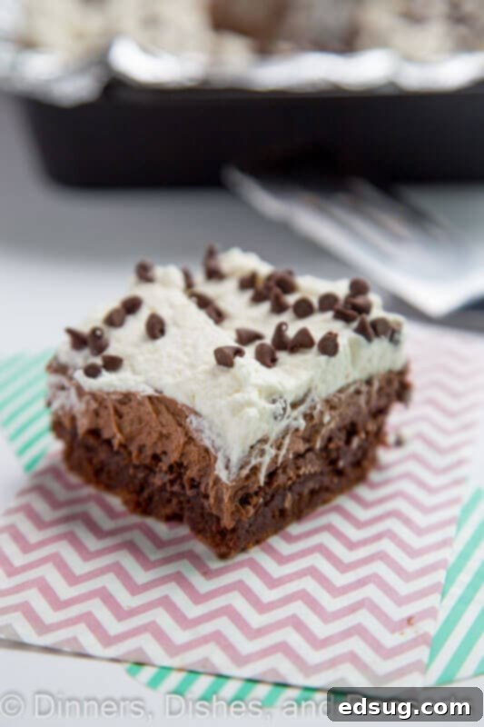 Dreamy French Silk Brownies 2 French silk brownie on a napkin