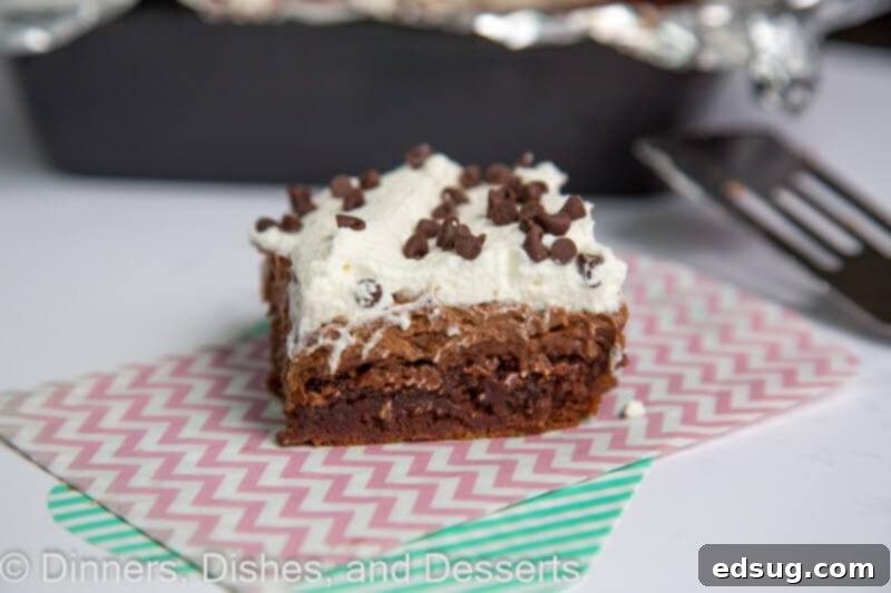 Dreamy French Silk Brownies 3 French silk brownie on a napkin