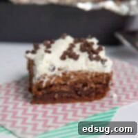 Dreamy French Silk Brownies 6 French Silk Brownies - Classic French Silk Pie turned into fudgy brownies topped with a silky chocolate mousse and whipped cream.