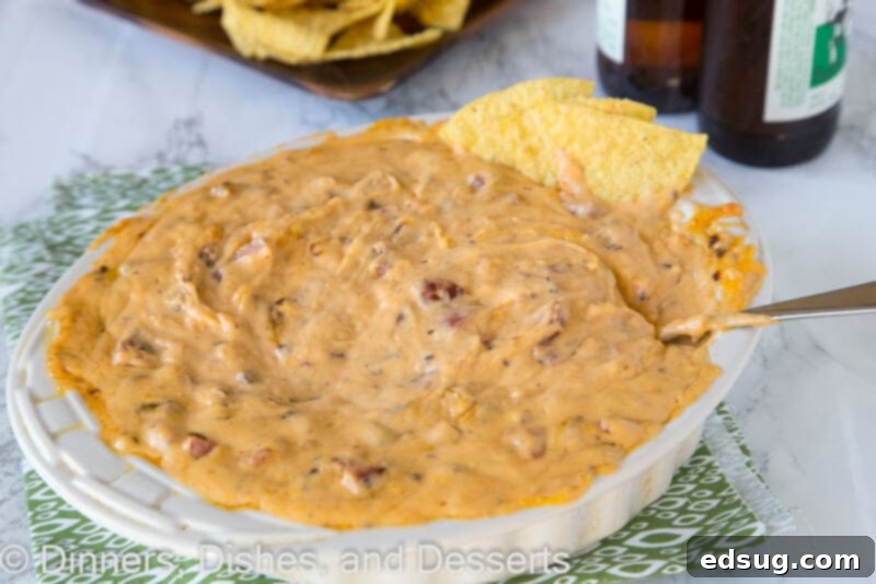 Loaded Cheddar Brat Dip 3 Close-up of a warm, bubbling bowl of Cheddar Brat Cheese Dip, garnished and ready to serve