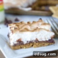 Sheet Pan S'mores Tart 5 Sheet Pan S'mores Tart - S'mores aren't just for around the campfire, check out this tart with a light marshmallow meringue type topping!