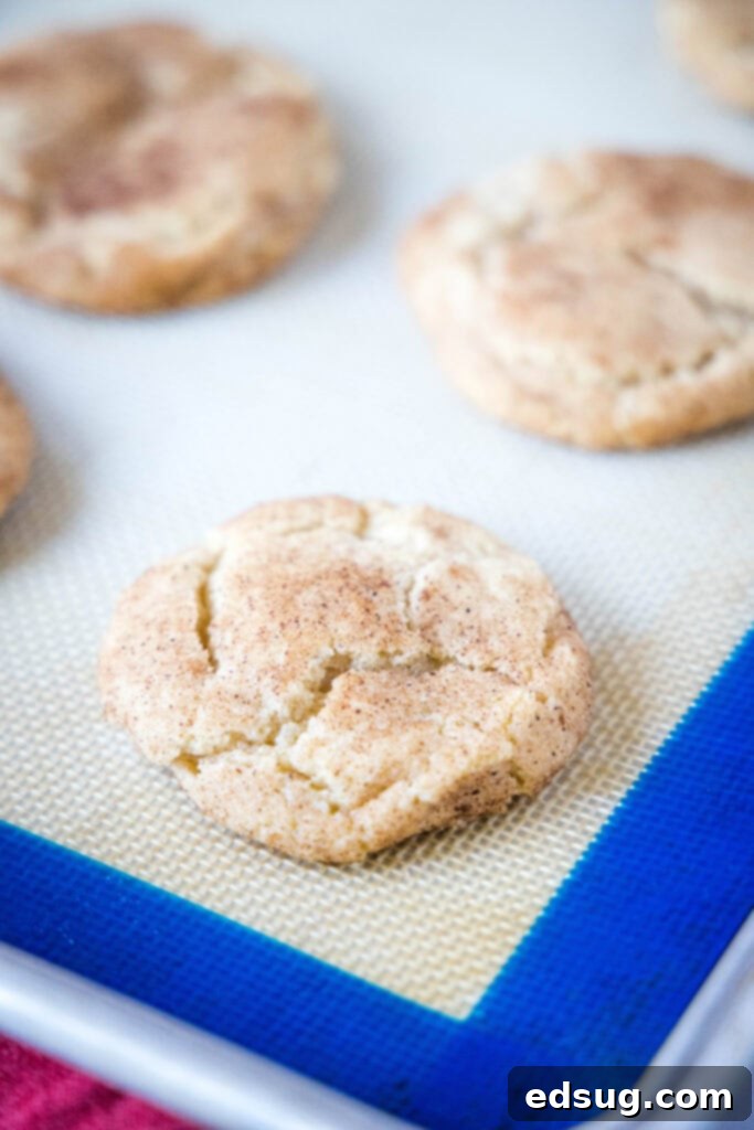 baked snickerdoodle cookies on a baking tray