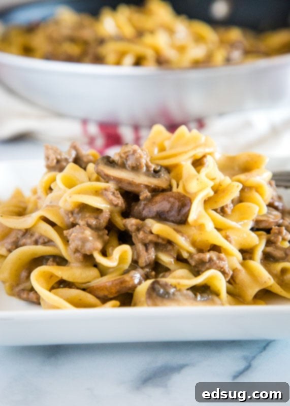 Easy One-Pot Beef Stroganoff 3 Easy beef stroganoff that is ready in minutes