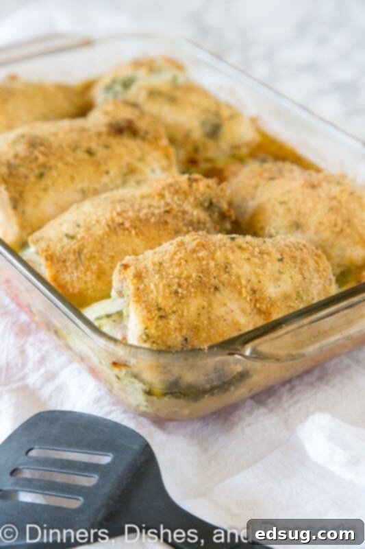 Italian stuffed chicken breasts in a baking pan, golden brown and ready to serve