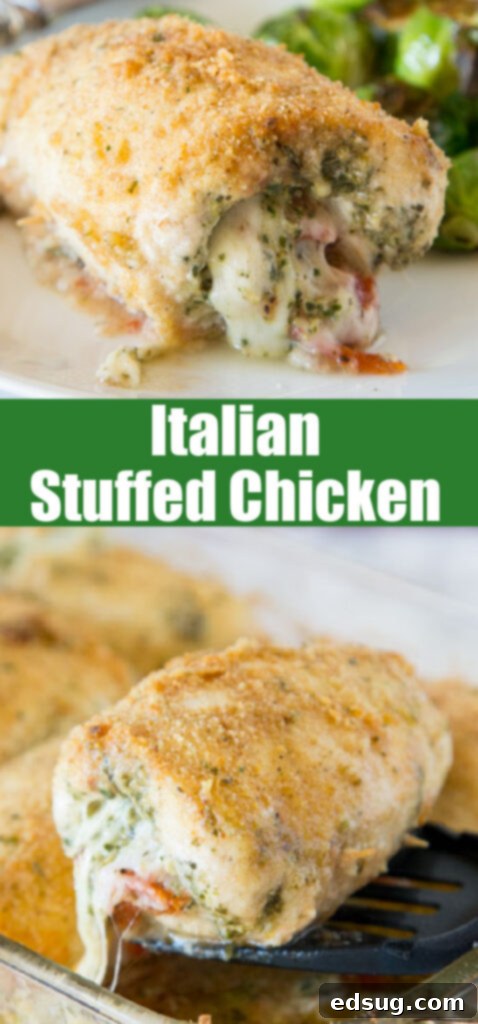 Close-up of golden-brown Italian stuffed chicken, garnished with fresh herbs, ideal for Pinterest