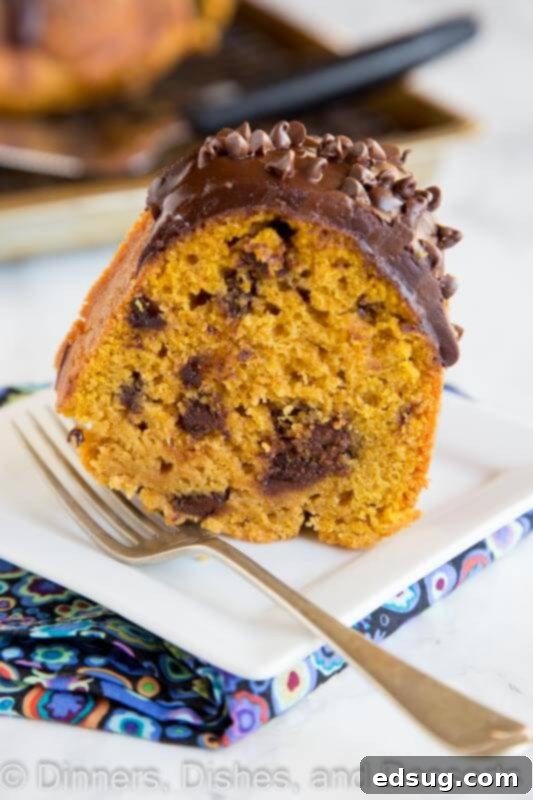 A piece of cake on a plate, with Pumpkin and Chocolate