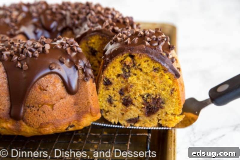 A piece of cake covered in chocolate