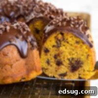 Pumpkin Chocolate Chip Cake - moist pumpkin cake with lots of chocolate chips and topped with a rich chocolate ganache.