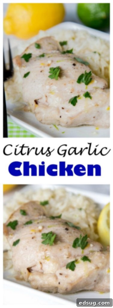 Zesty Island Chicken with Coconut Lime Rice 5 citrus garlic chicken with coconut lime rice on a plate close up