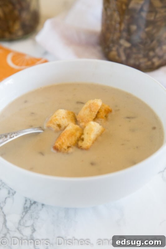 creamy mushroom soup in a bowl, garnished with herbs