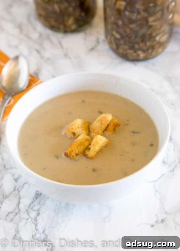 creamy mushroom soup in a bowl with fresh herbs and a slice of bread