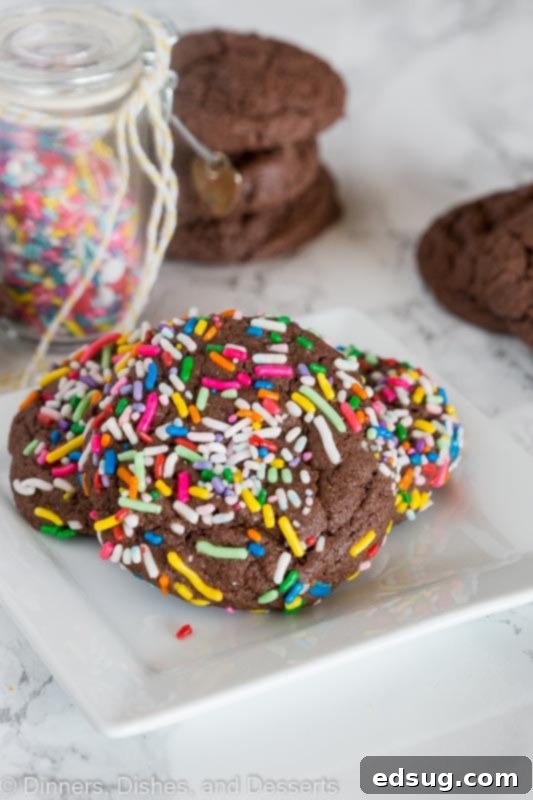 Chocolate Sprinkle Cookies - Delicious chocolate cookies made from cake mix, simple 3-ingredient recipe, thick, chewy, fudgy, and coated in fun sprinkles. Close-up of chocolate cake mix cookies adorned with colorful sprinkles, ready to be enjoyed.