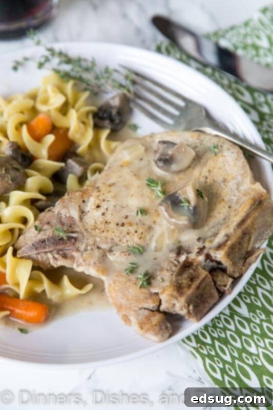 Tender slow cooker pork chops served on a plate with egg noodles and a rich gravy, ready for dinner.
