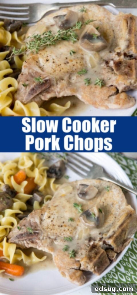 Plated slow cooker pork chops with egg noodles and sauce, ready to serve.