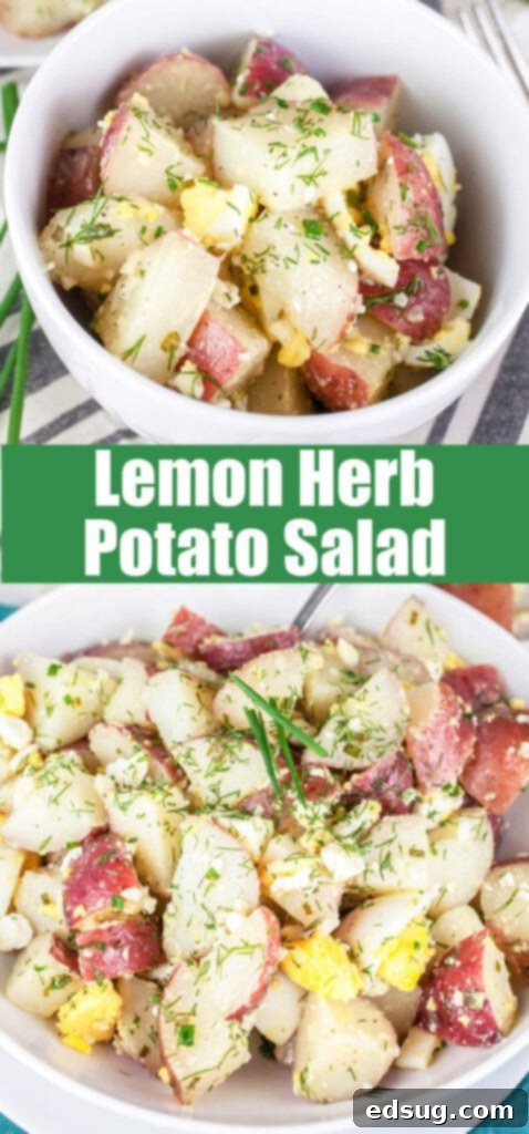 Zesty Lemon-Herb Potato Salad 7 healthy potato salad close up