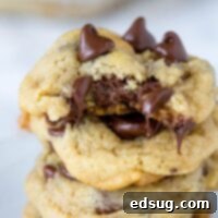 chocolate chip cookies on a table