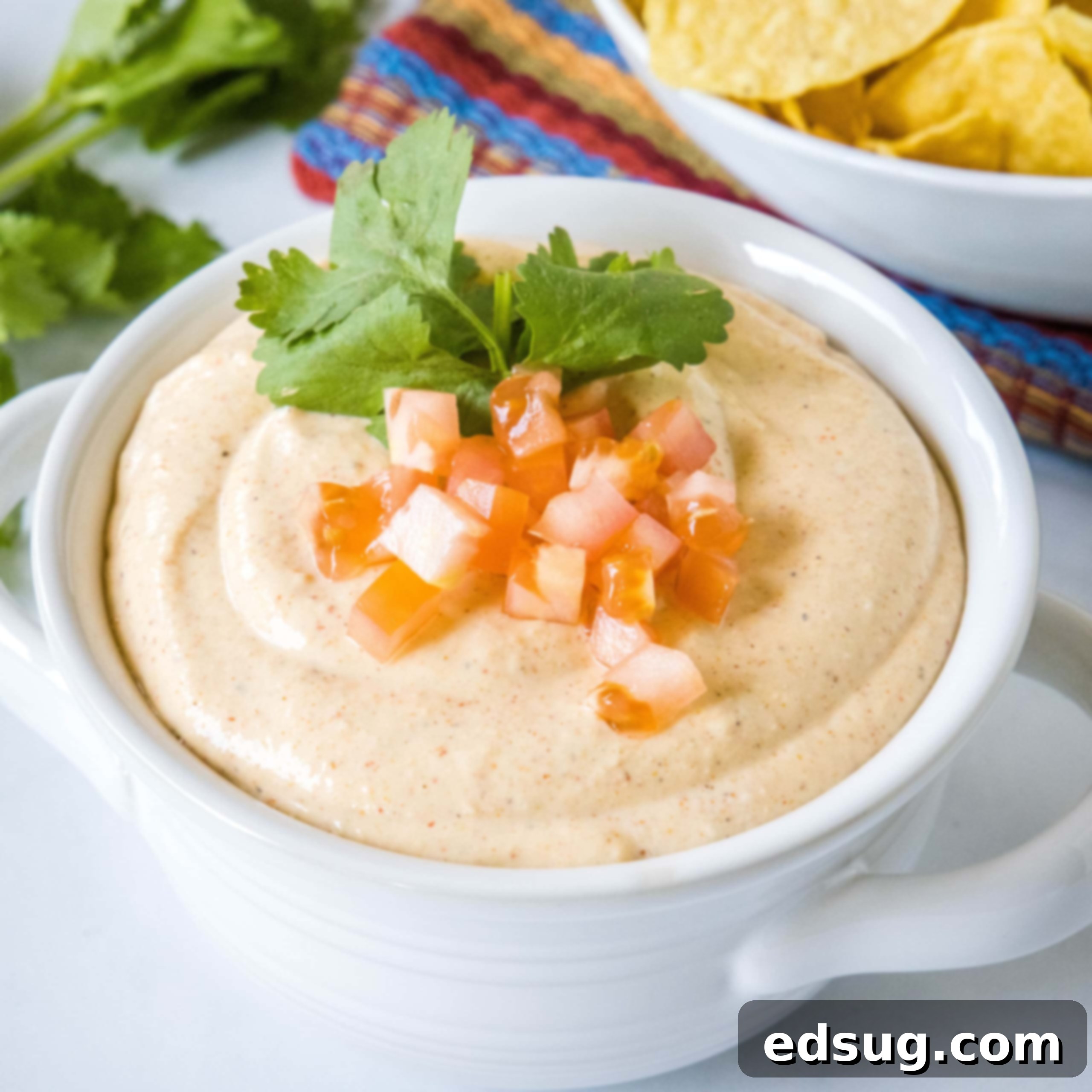 Kickoff Comfort Food 4 Close up of cottage cheese queso topped with fresh tomatoes and cilantro in a bowl