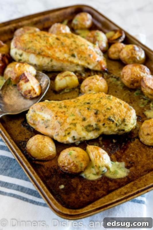 One-Pan Chicken and Potatoes 4 Uncooked sheet pan chicken and potatoes arranged on a baking sheet before roasting
