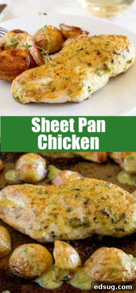 One-Pan Chicken and Potatoes 6 Baked chicken and potatoes on a plate with herbs