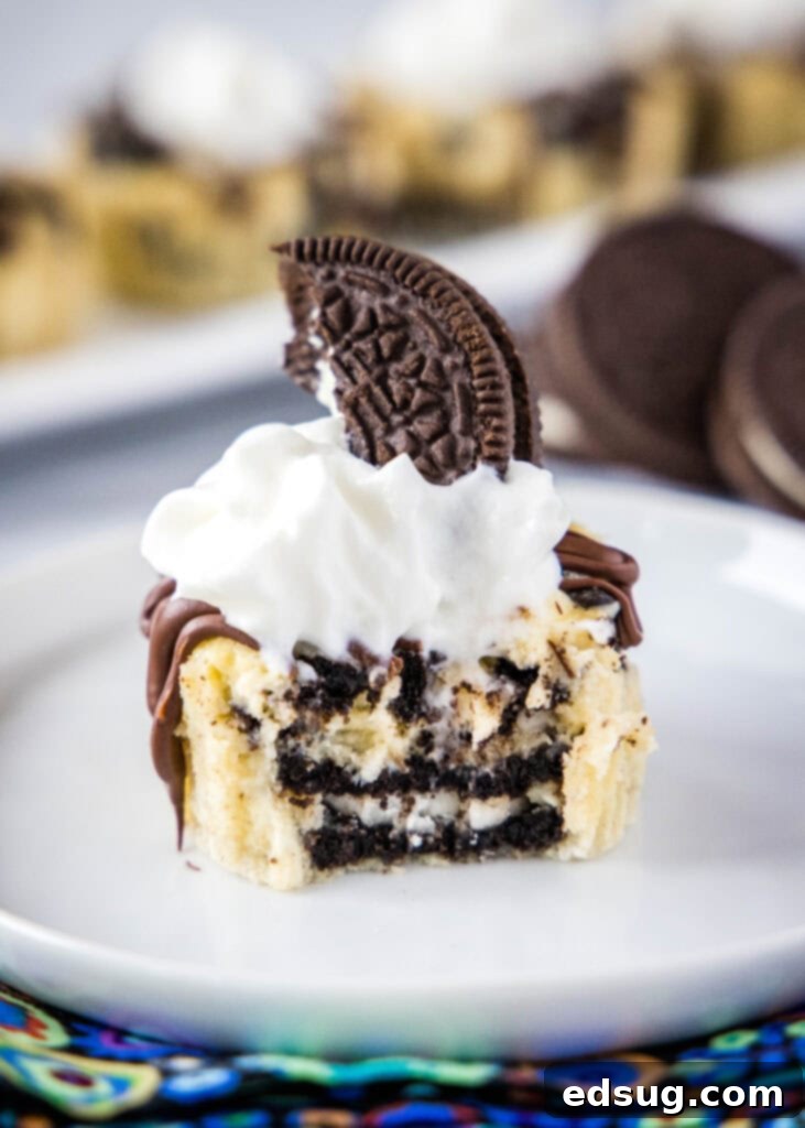 Oreo Dream Bites 2 mini oreo cheesecake bites with bite taken out of it.