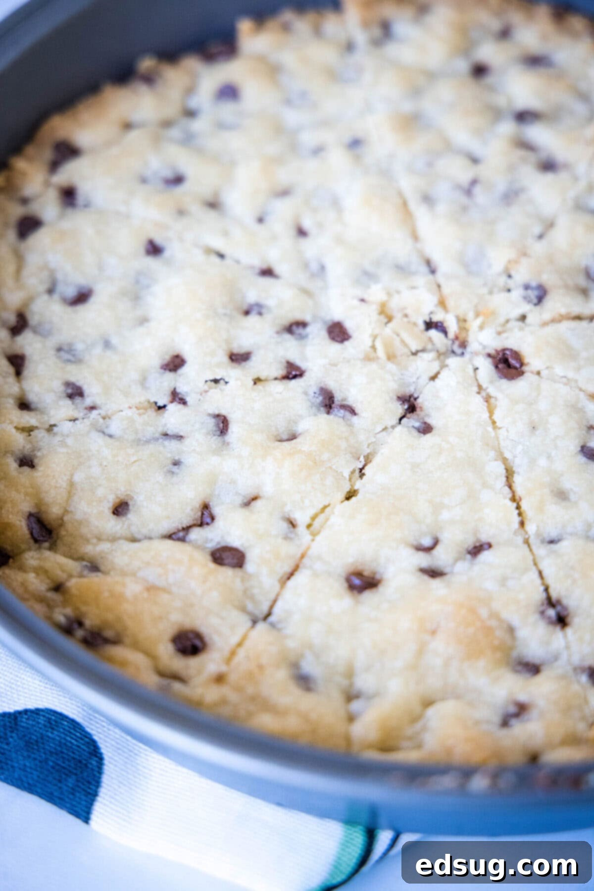 Chocolate chip shortbread in a pan, scored into triangular shapes.