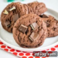 cropped close up chocolate pudding cookies on a white plate