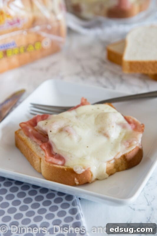 Uncovered Croque Monsieur 5 A beautifully plated open-faced croque monsieur, featuring a perfectly melted cheese and creamy sauce, garnished with fresh parsley.