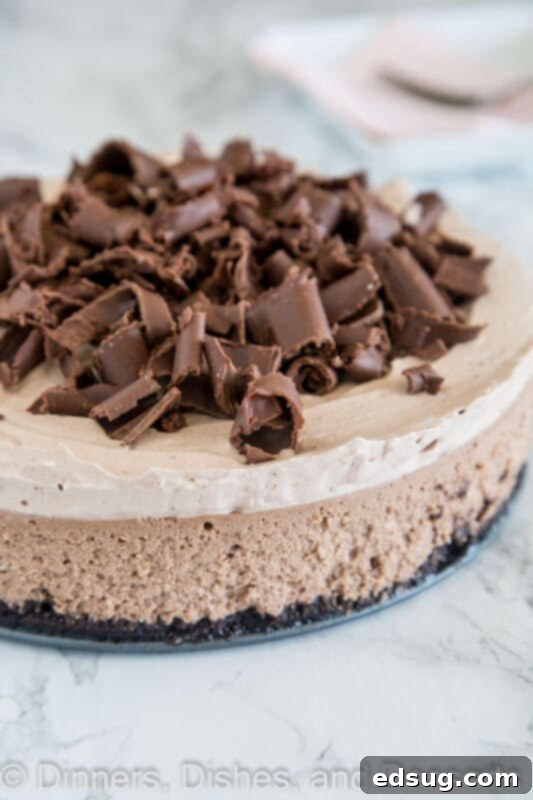 Ultimate Baileys Chocolate Cheesecake 3 Baileys chocolate cheesecake in a pan