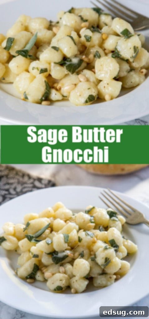 Pillowy Parmesan Gnocchi with Brown Butter Sage Sauce 5 Close-up shot of individual sage butter gnocchi pieces coated in Parmesan, on a white plate with a sprig of sage.