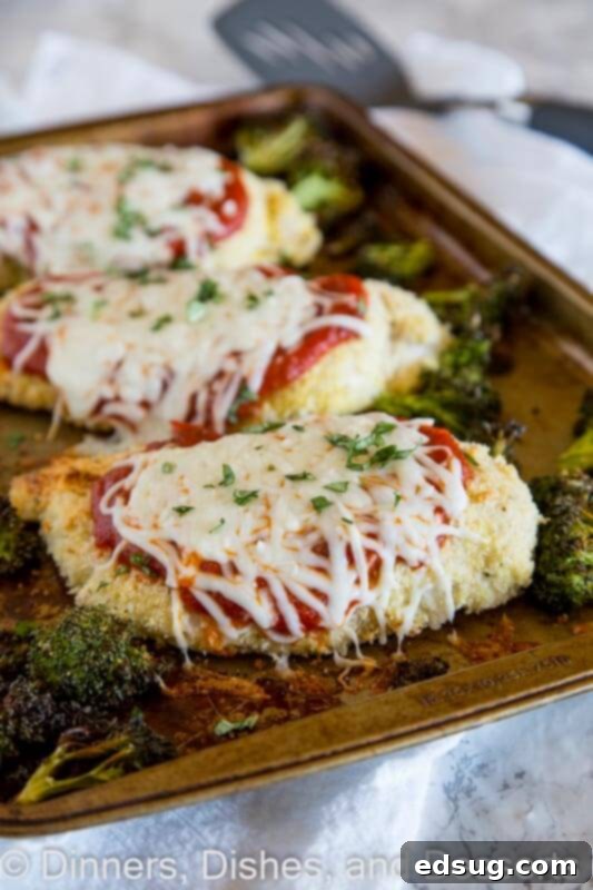 Parmesan-Crusted Baked Chicken 2 Close-up of a plate featuring golden-brown baked chicken parmesan with melted mozzarella, alongside vibrant roasted broccoli florets.