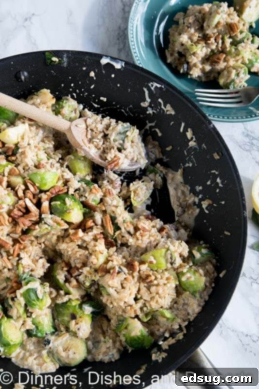 Effortless Brussels Sprout Risotto 2 Shortcut rissotto in a pan with a spoon, highlighting its creamy texture