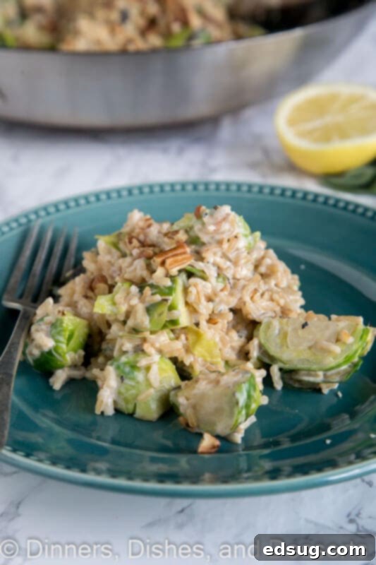 Effortless Brussels Sprout Risotto 3 Shortcut rissotto on a plate with a fork, ready to be enjoyed