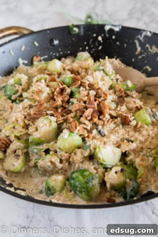 Effortless Brussels Sprout Risotto 4 Close-up of shortcut rissotto in a pan, showcasing its rich texture