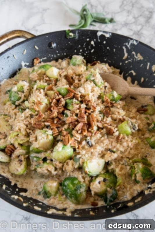Effortless Brussels Sprout Risotto 5 Another view of shortcut rissotto in a pan, showcasing the vibrant Brussels sprouts
