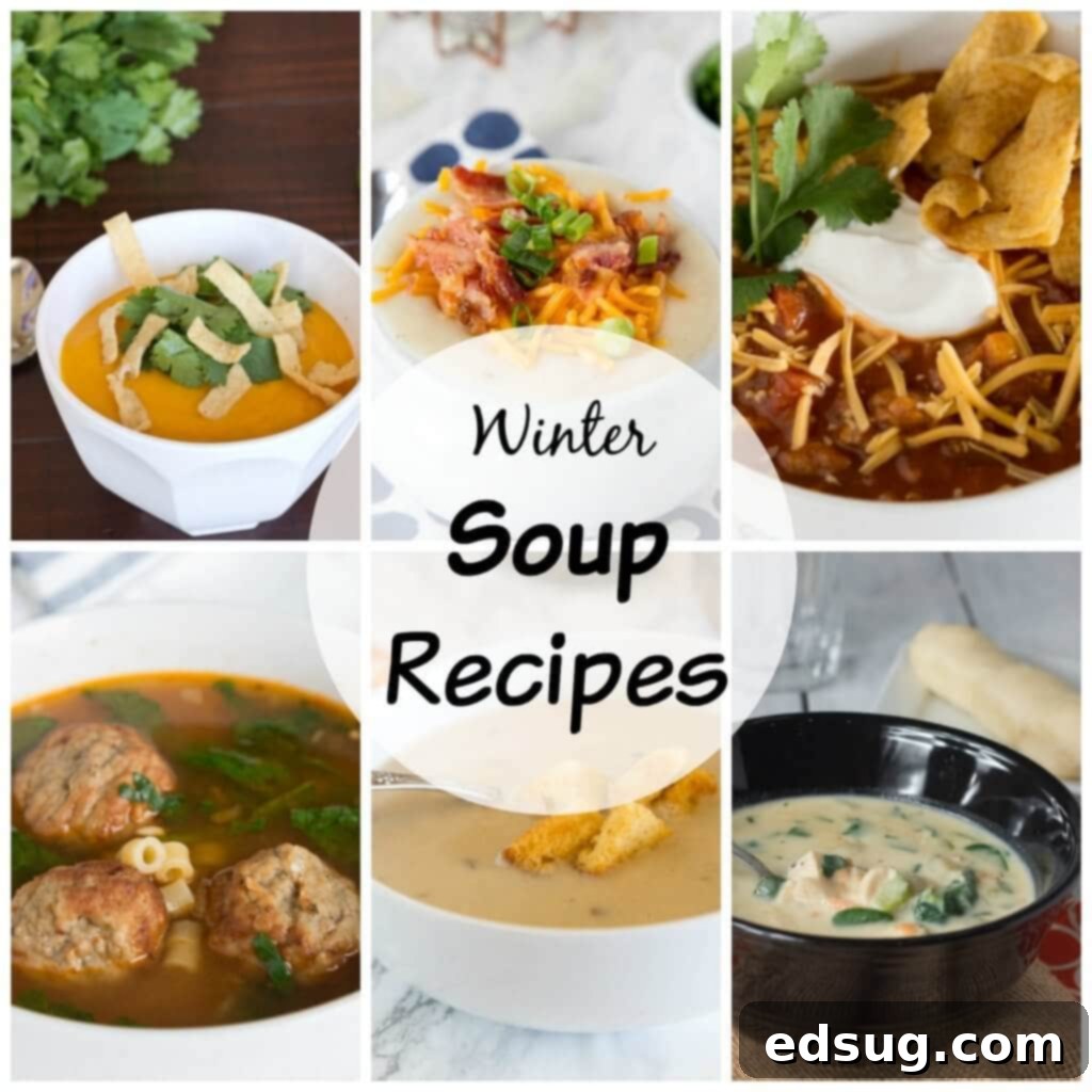 A vibrant assortment of various delicious soup recipes, including creamy, brothy, and hearty options, perfect for winter meals.