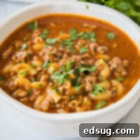A bowl of beef macaroni soup garnished with fresh parsley.