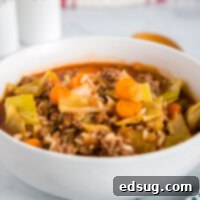 A steaming bowl of comforting cabbage roll soup.