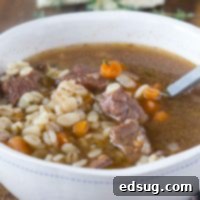 A bowl of hearty beef barley soup, perfect for cold weather.