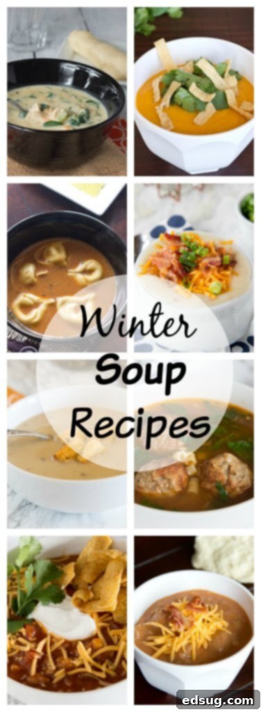 A comprehensive collage of all 20 delicious winter soup recipes, perfect for pinning and saving.