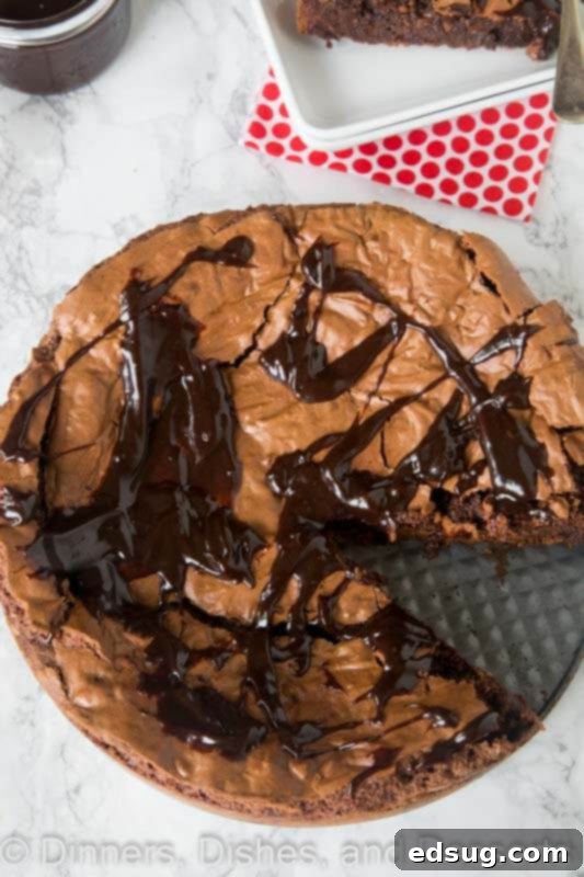 Deep Dish Fudgy Brownie 3 Close-up shot of a whole Gooey Brownie Pie in a springform pan, showing its rich, dark chocolate color and crackly top texture.